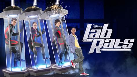 lab rats|lab rat website.